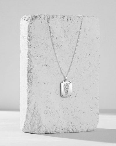 Collar de Placa 