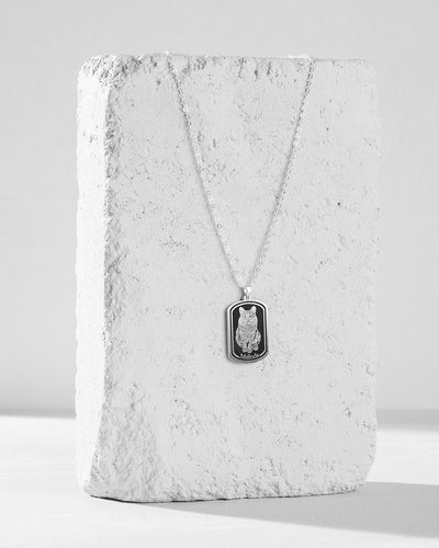 Collar de Placa