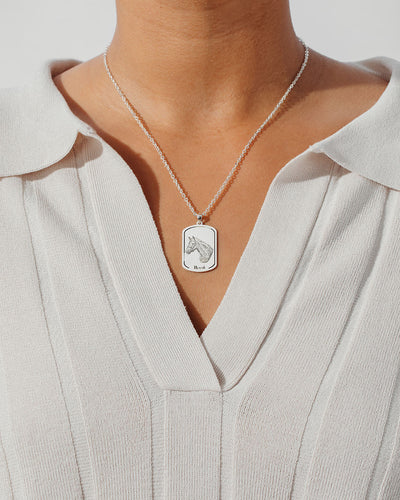 Collar de Placa